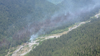 It's So Dry Even America's Old Growth Rainforests Are on Fire